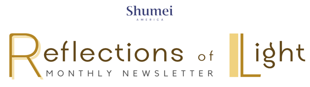 reflections of light monthly newsletter