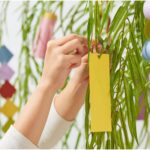 Tanabata Japanese Tea Ceremony: A Celebration of Stars and Serenity